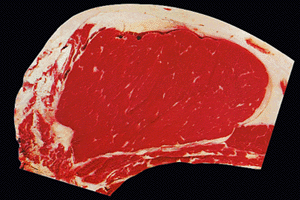 If you have spotted ungraded beef at your grocery store recently – i